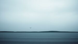 Gedichte Online Plattform - Poesie digital entdecken
