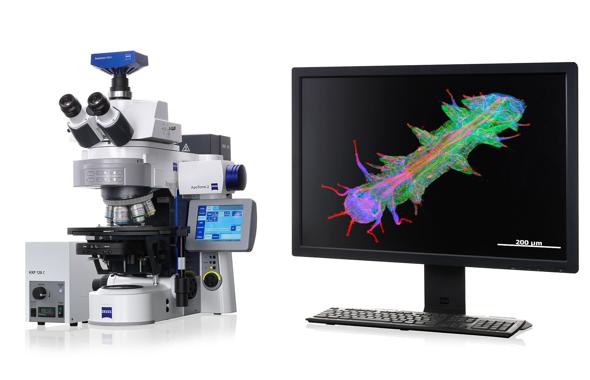 Create optical sections of your fluorescent samples, free of scattered light. With structured illumination, you know that only the focal…