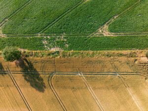 Solaranlage auf dem Eigenheim 2026: Kosten & Pflichten
