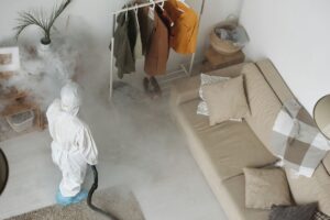 Schädlingsbekämpfer Wien 2026: 8 im Vergleich